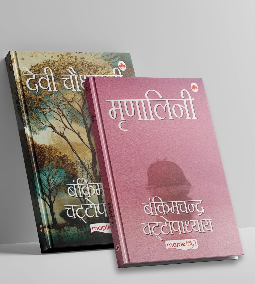 Bankim Chandra Chattopadhyay - Novels (Set of 2 Books) (Hindi) - Image 6