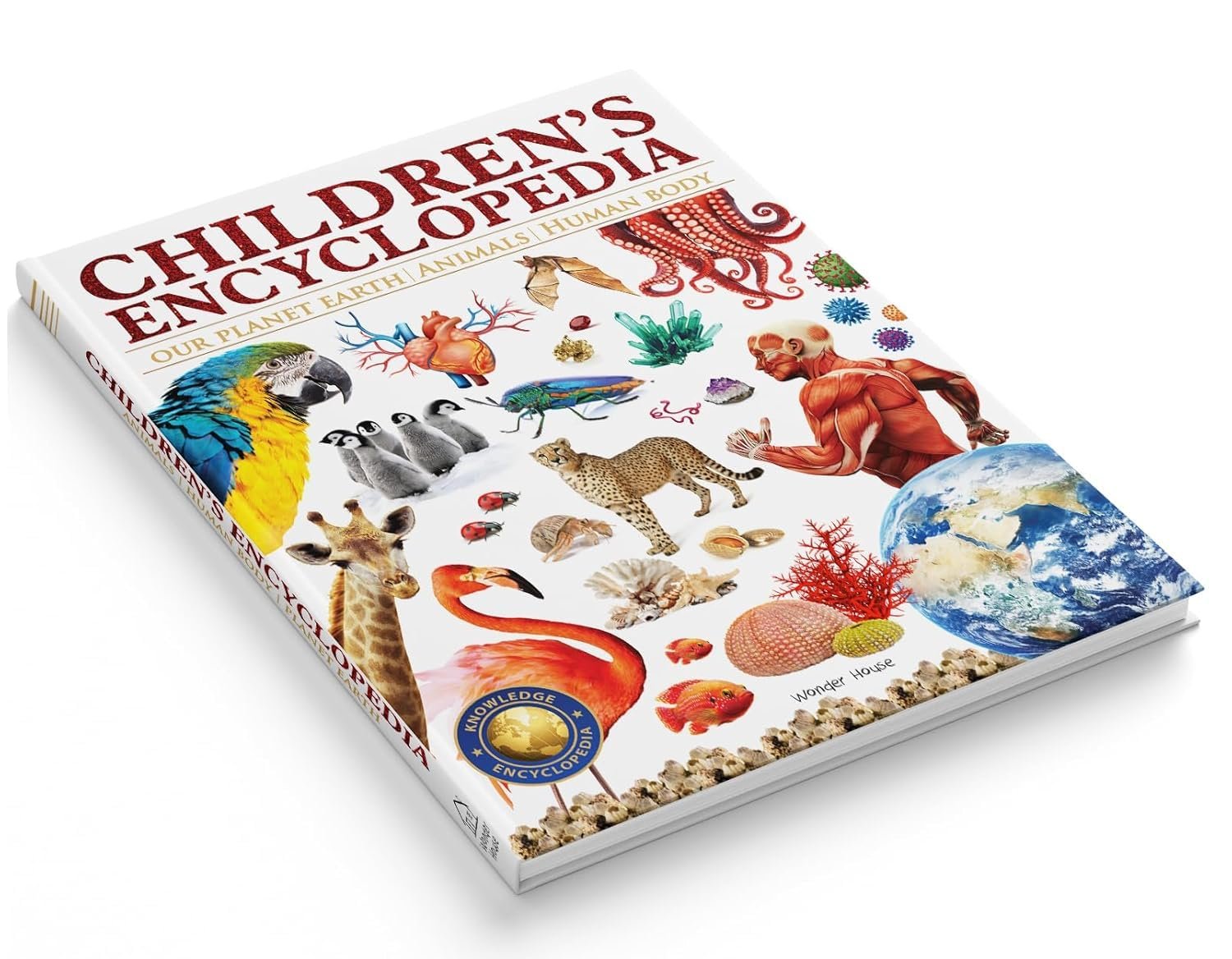Children’s Encyclopedia - Our Planet Earth, Animals and Human Body: Animals, Human Body and Our Planet Earth - Image 4