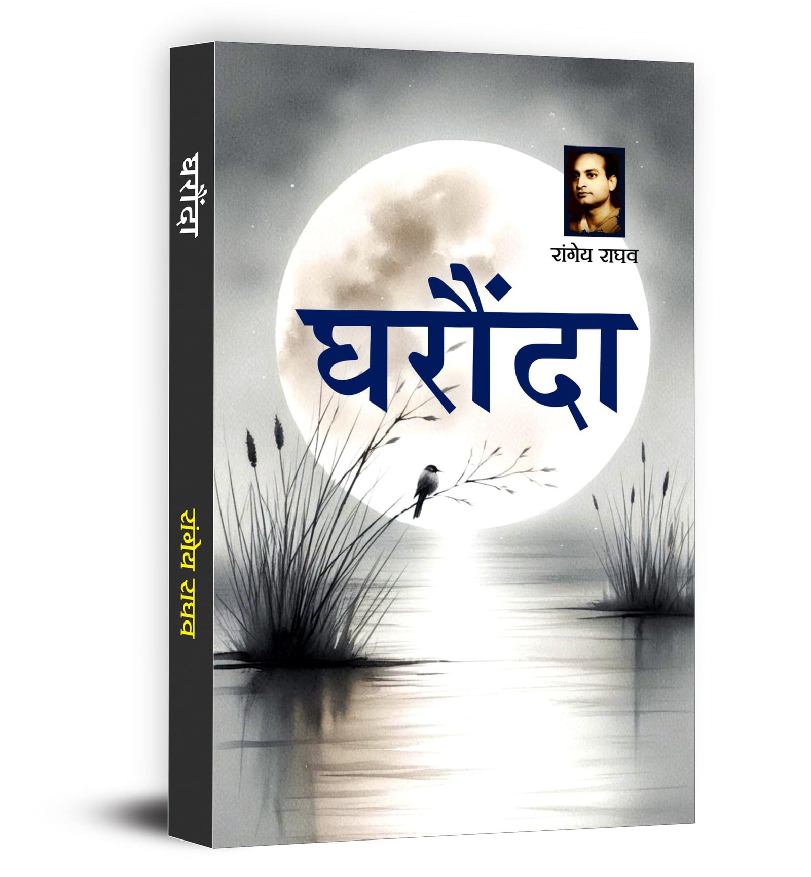 Gharonda Novel Book in Hindi by Rangeya Raghav | A Deeply Emotional Hindi Fiction on Family, Relationships and Social Pressures