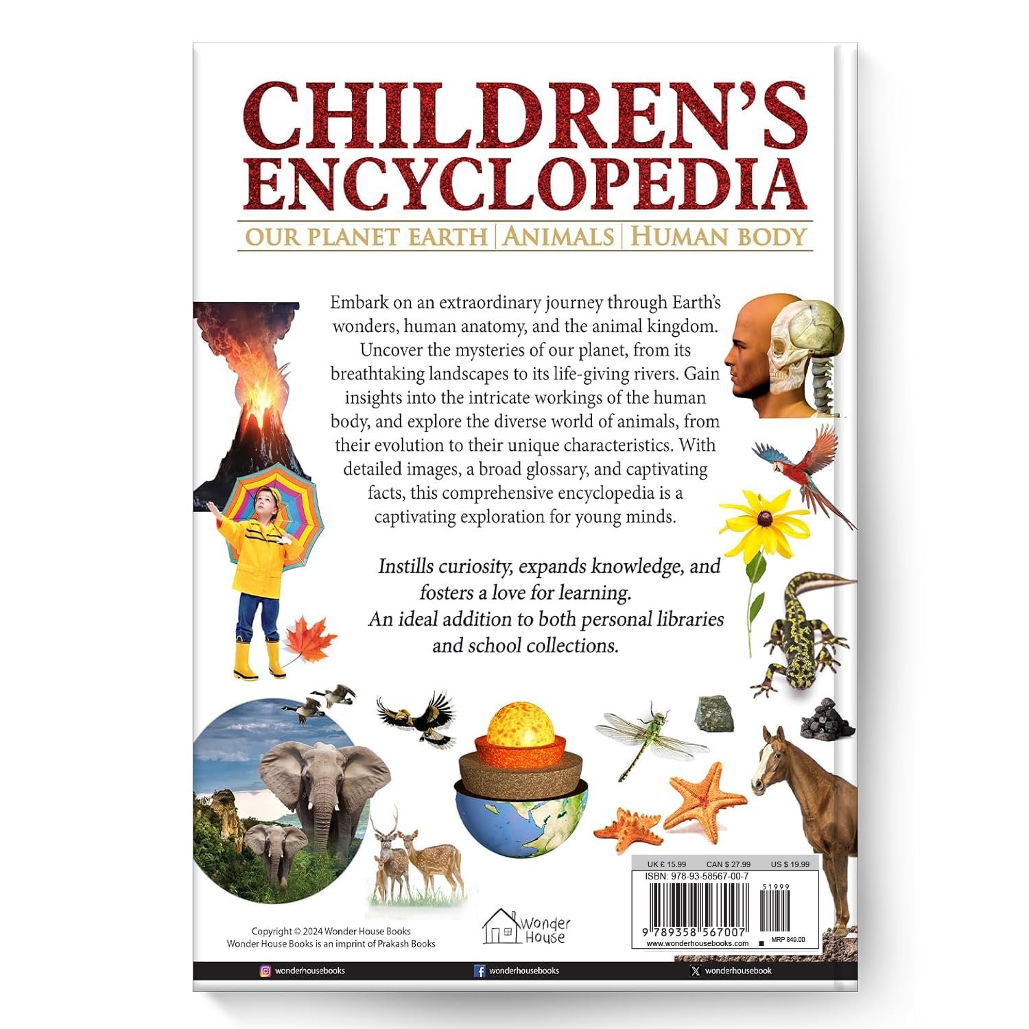 Children’s Encyclopedia - Our Planet Earth, Animals and Human Body: Animals, Human Body and Our Planet Earth - Image 2