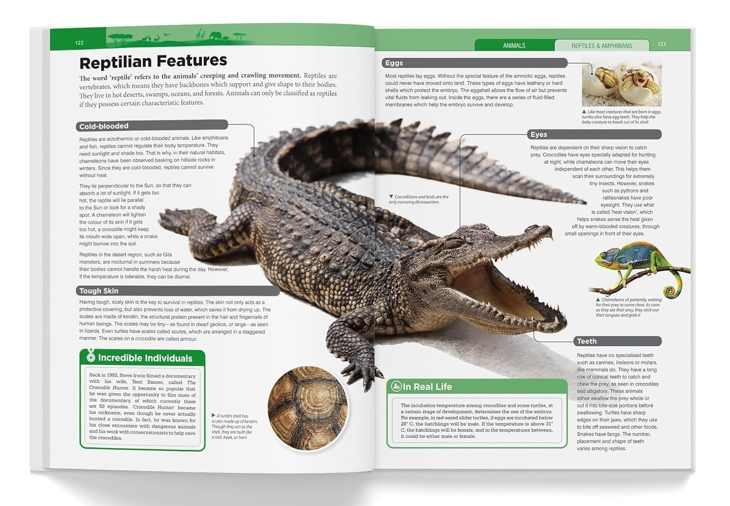 Children’s Encyclopedia - Our Planet Earth, Animals and Human Body: Animals, Human Body and Our Planet Earth - Image 6
