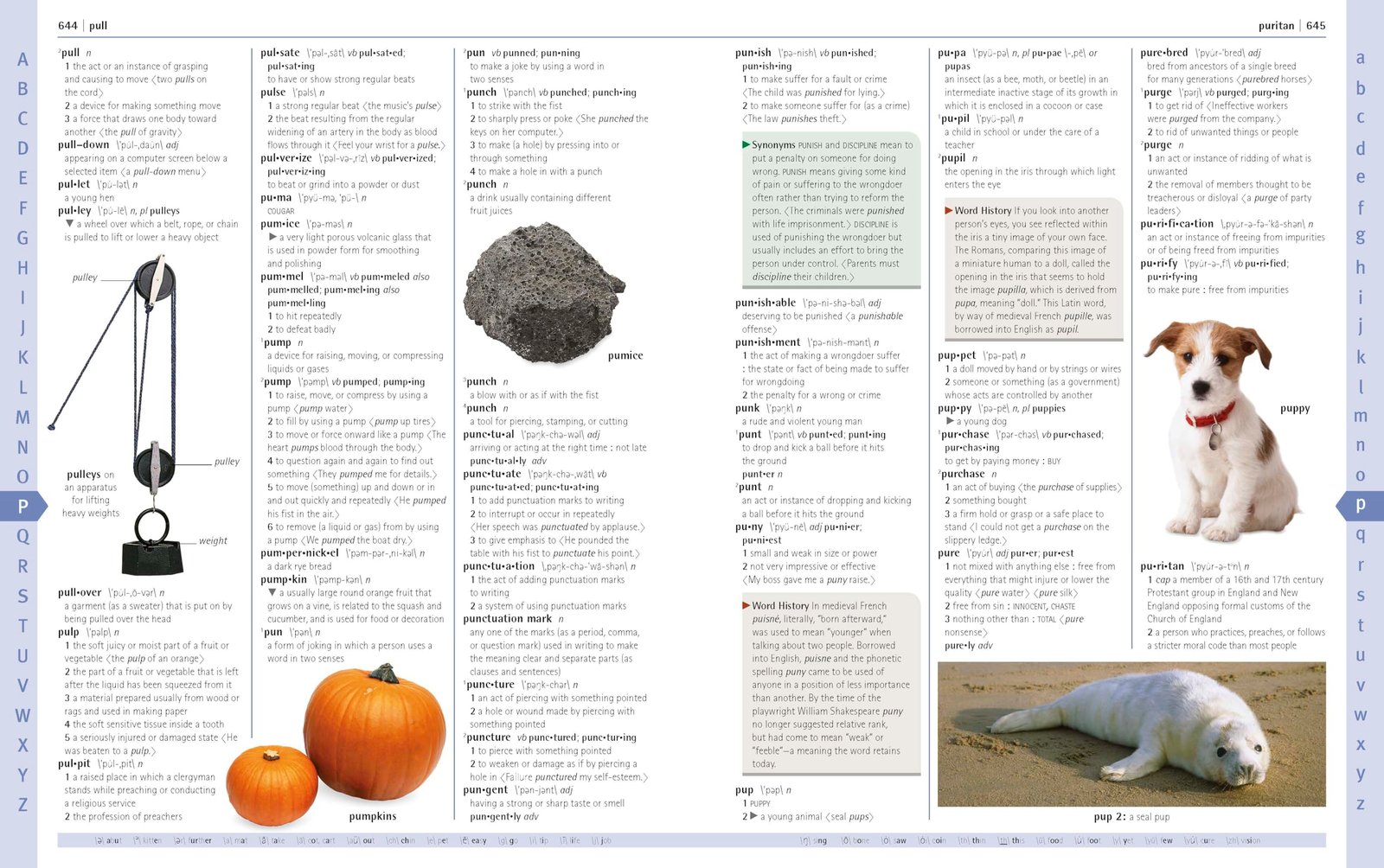 Merriam-Webster Children's Dictionary, New Edition: Features 3,000 Photographs and Illustrations - Image 4