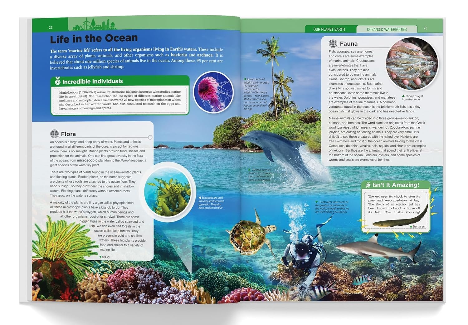 Children’s Encyclopedia - Our Planet Earth, Animals and Human Body: Animals, Human Body and Our Planet Earth - Image 5