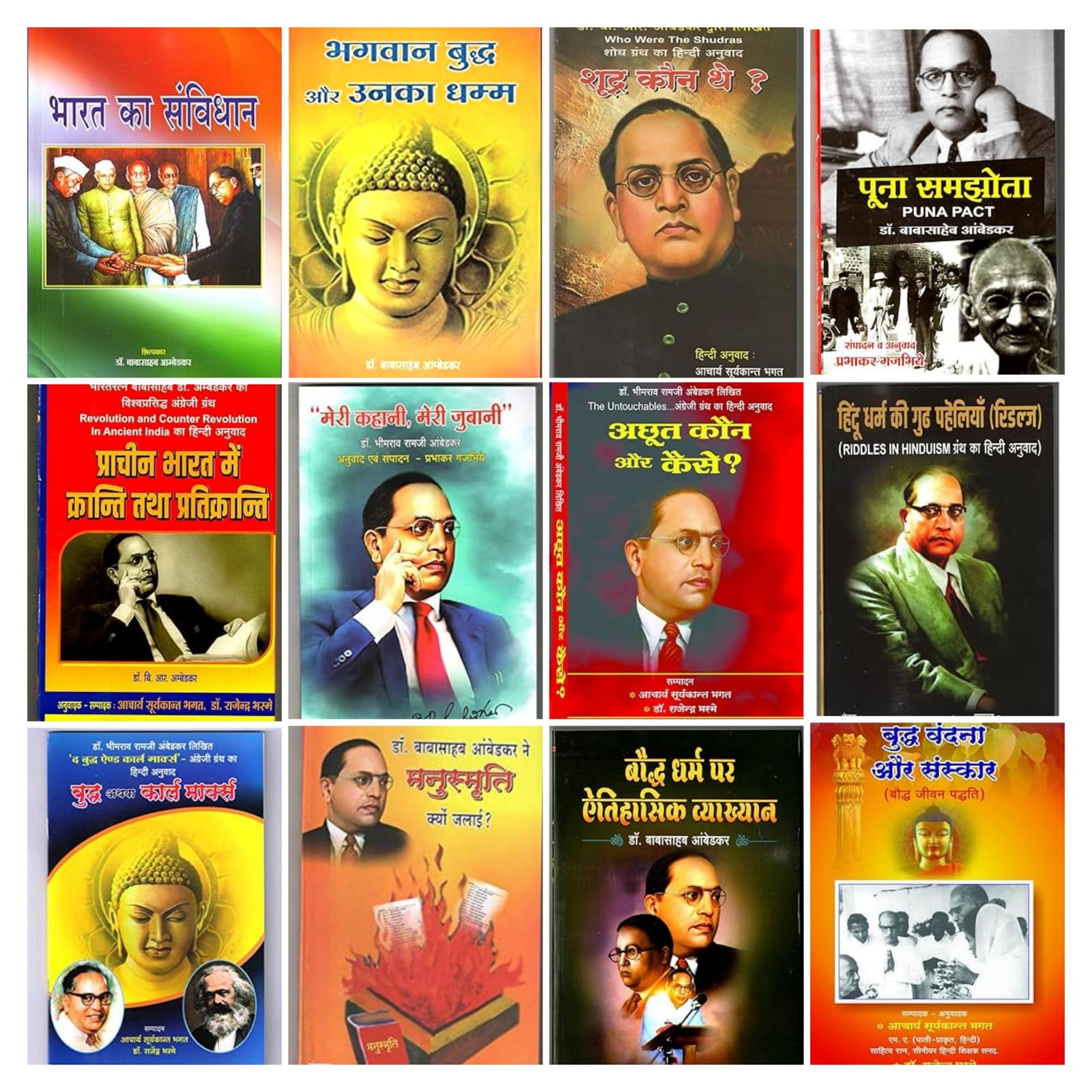 Dr. BR Ambedkar Hindi Books Set of 14 Books HINDI