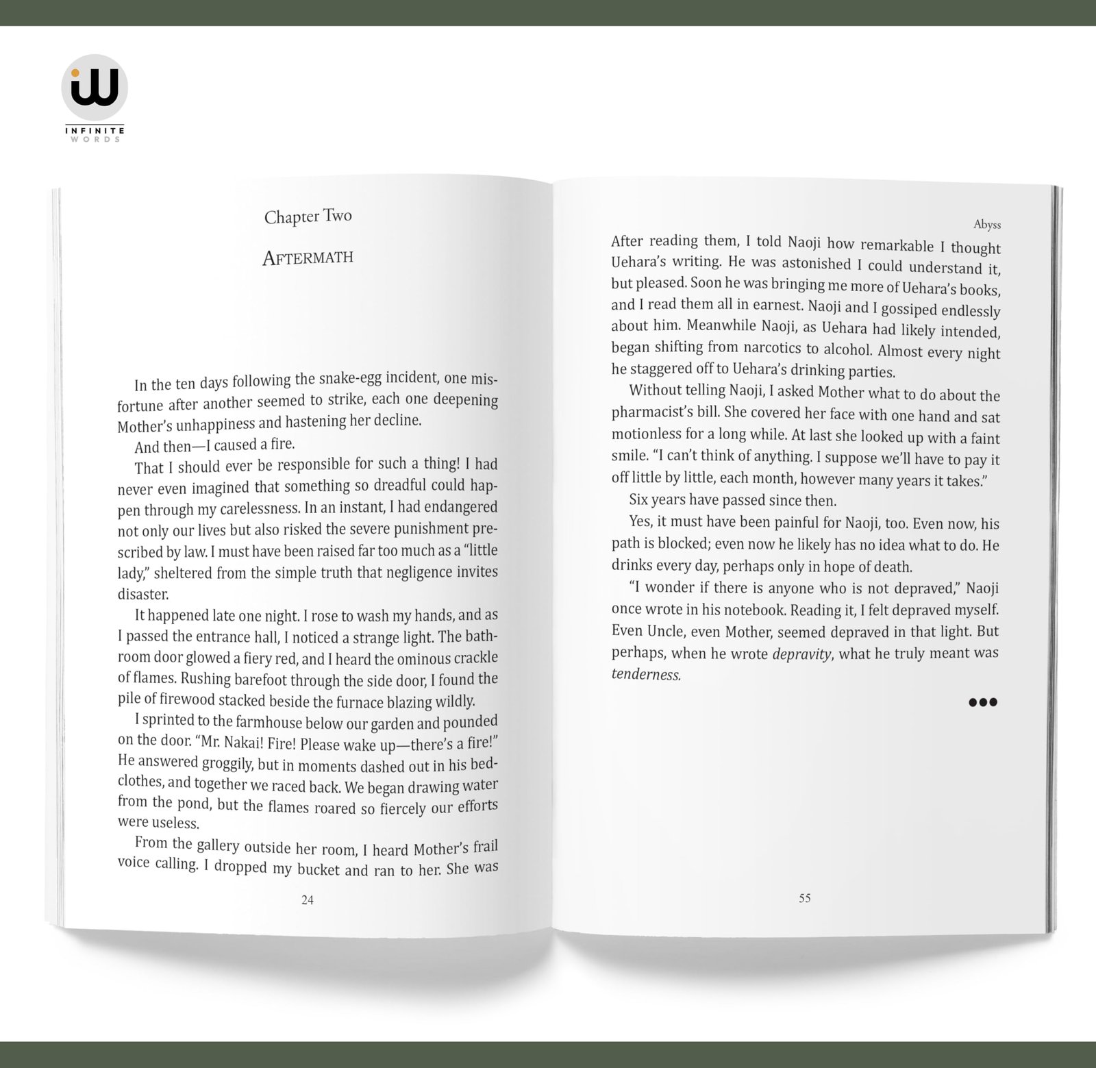The Setting Sun | Osamu Dazai | English Book Novels | Japanese Literature | Classic Postwar | Japan Fiction Modern Japanese Novel | No Longer Human Schoolgirl | Kazuko & Naoji | Decline Of Aristocracy - Image 4