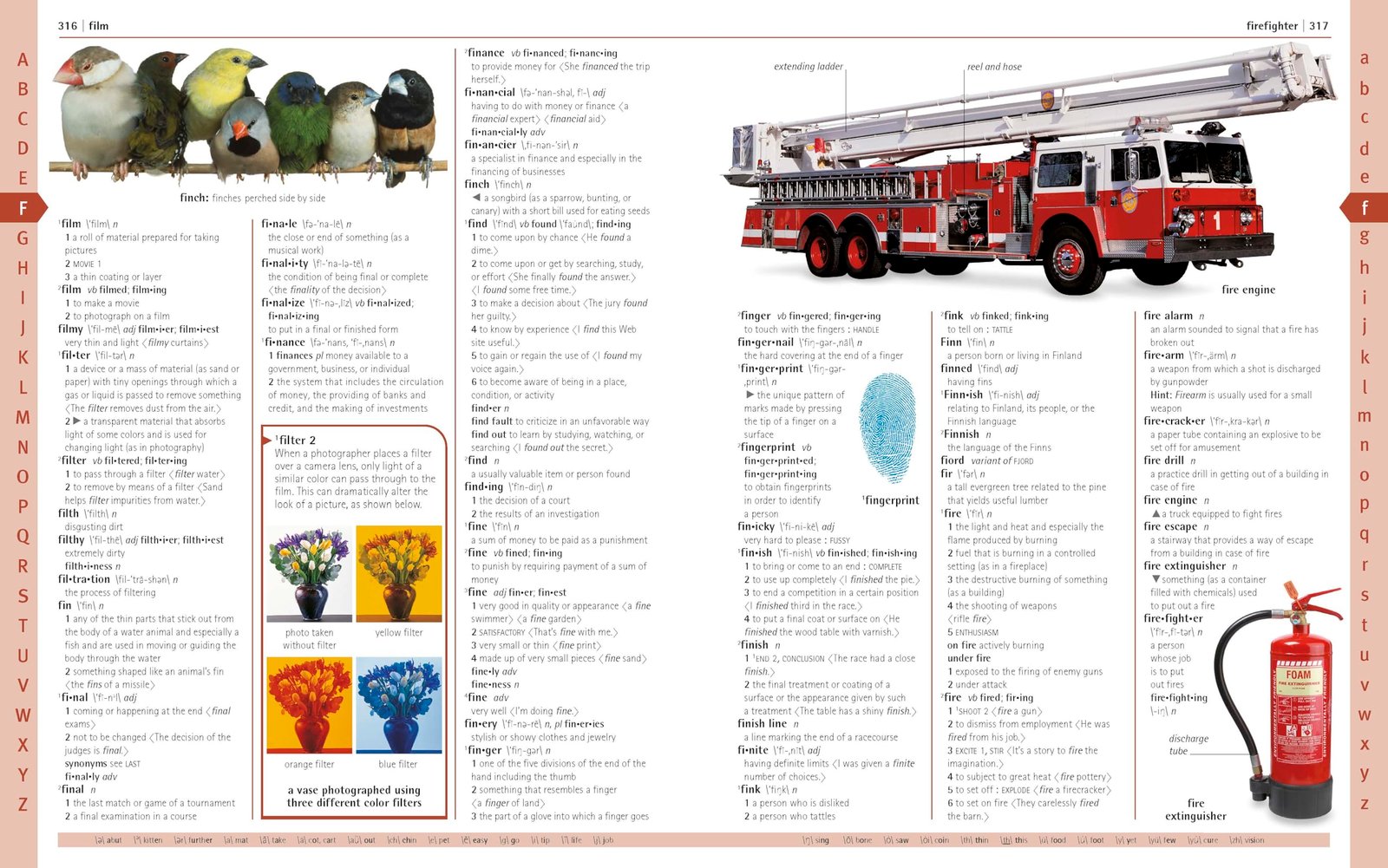 Merriam-Webster Children's Dictionary, New Edition: Features 3,000 Photographs and Illustrations - Image 6