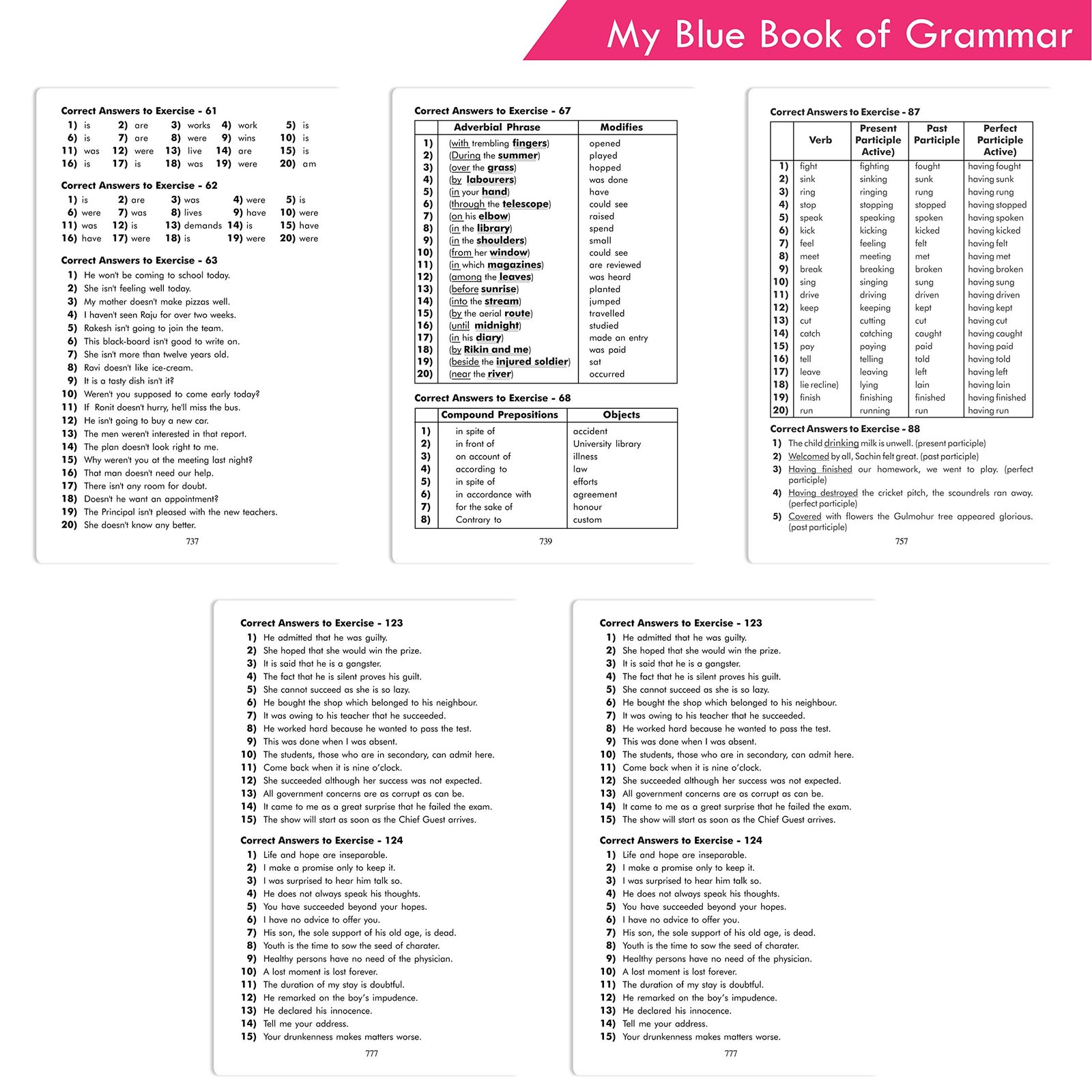 My Blue Book of Grammar with Answers Teachers created material recommended for all students | Practical English Grammar Vocabulary and Composition - Image 8